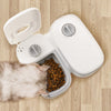 Automatic Pet Feeder Smart Food Dispenser For Cats Dogs Timer Stainless Steel Bowl Auto Dog Cat Pet Feeding Pets Supplies Eureka Online Store
